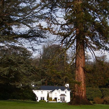 Ynyshir Restaurant And Rooms Machynlleth Luaran gambar