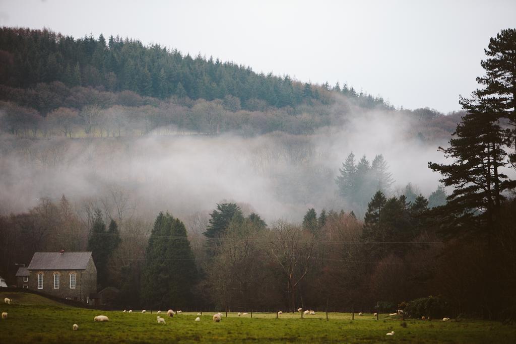 Ynyshir Restaurant And Rooms Machynlleth Luaran gambar