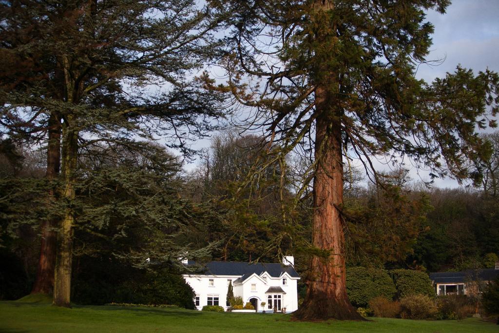 Ynyshir Restaurant And Rooms Machynlleth Luaran gambar