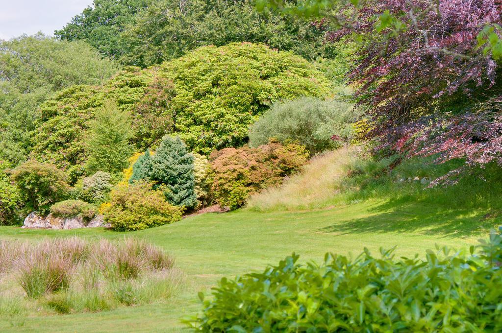 Ynyshir Restaurant And Rooms Machynlleth Luaran gambar