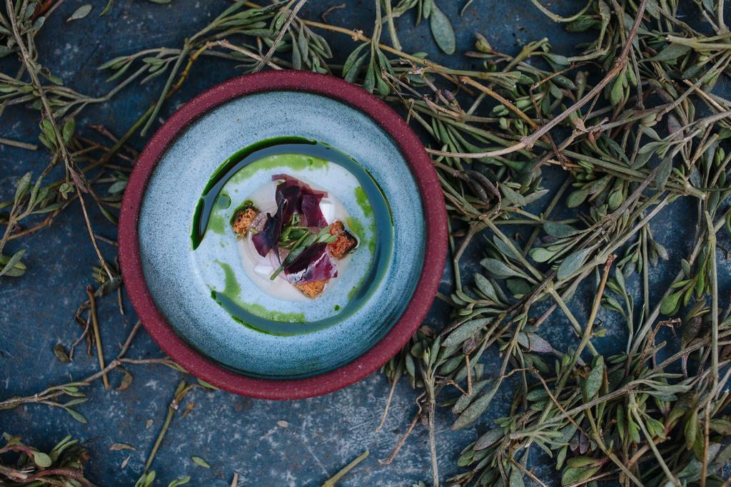 Ynyshir Restaurant And Rooms Machynlleth Luaran gambar